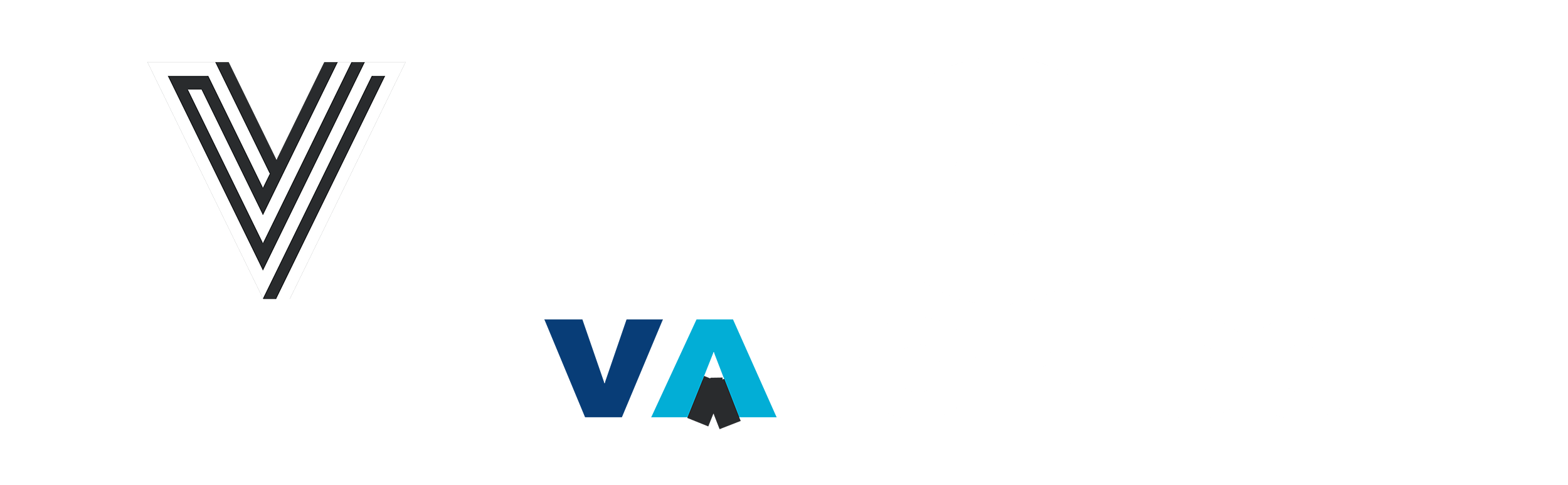 VTECH Elevator Co